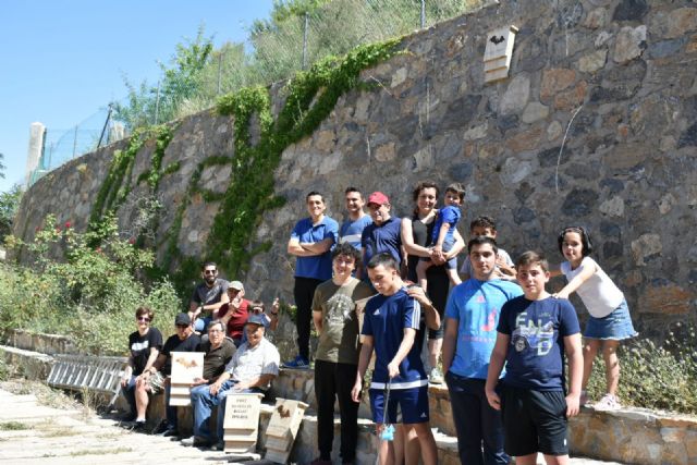 Cajas nido para murciélagos - 5, Foto 5