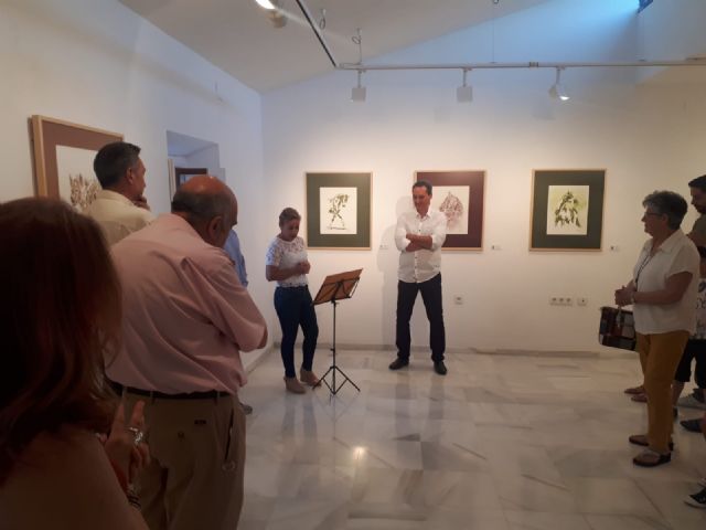 Rogelio Balibrea expone su obra 'Captación del color' en Puerto Lumbreras - 2, Foto 2