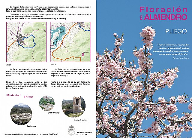 Ruta de la Floración en Pliego - 1, Foto 1