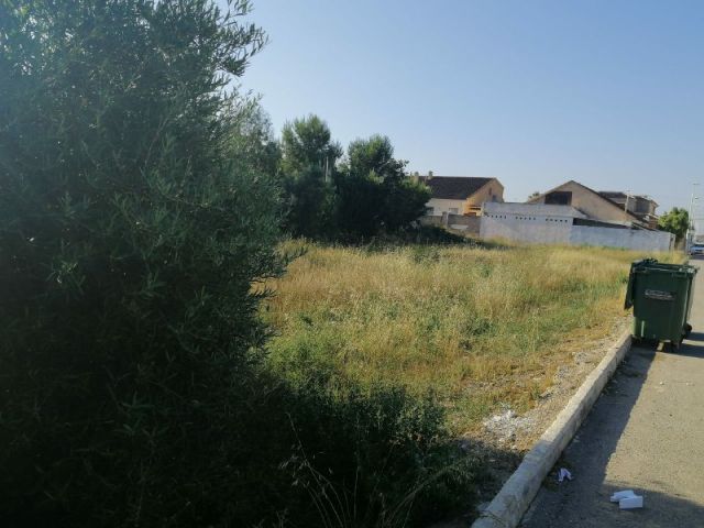 MC: La desidia del Gobierno en mantenimiento inunda de suciedad y maleza la diputación de La Palma - 1, Foto 1