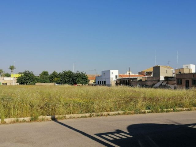 MC: La desidia del Gobierno en mantenimiento inunda de suciedad y maleza la diputación de La Palma - 3, Foto 3