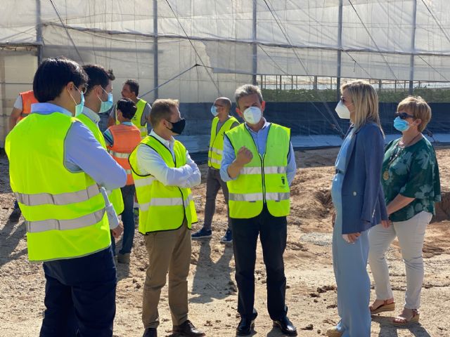 Fomento invierte 258.000 euros en la reparación de seis carreteras que discurren por Torre Pacheco - 1, Foto 1