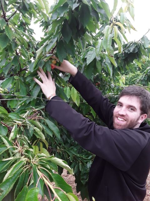 La Universidad de Lleida distingue una tesis de la UPCT sobre automatización de riego en cerezos - 1, Foto 1