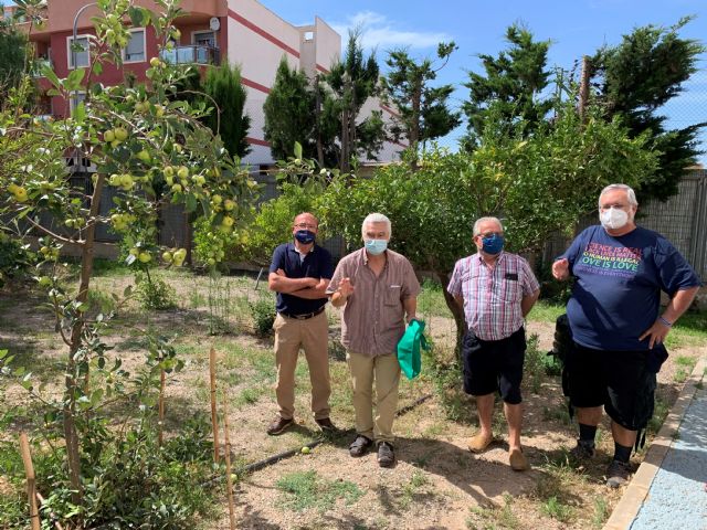 La concejalía de Educación Medioambiental dona ejemplares del Manzano de la Cuesta de Gos a los Centros Educativos aguileños con Huerto Escolar conveniado - 2, Foto 2