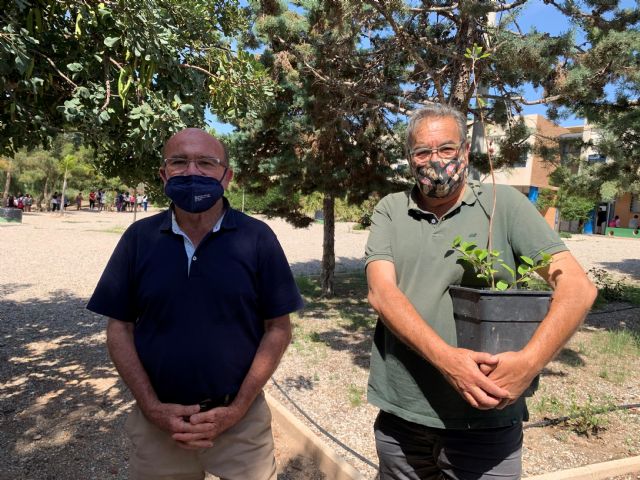 La concejalía de Educación Medioambiental dona ejemplares del Manzano de la Cuesta de Gos a los Centros Educativos aguileños con Huerto Escolar conveniado - 4, Foto 4