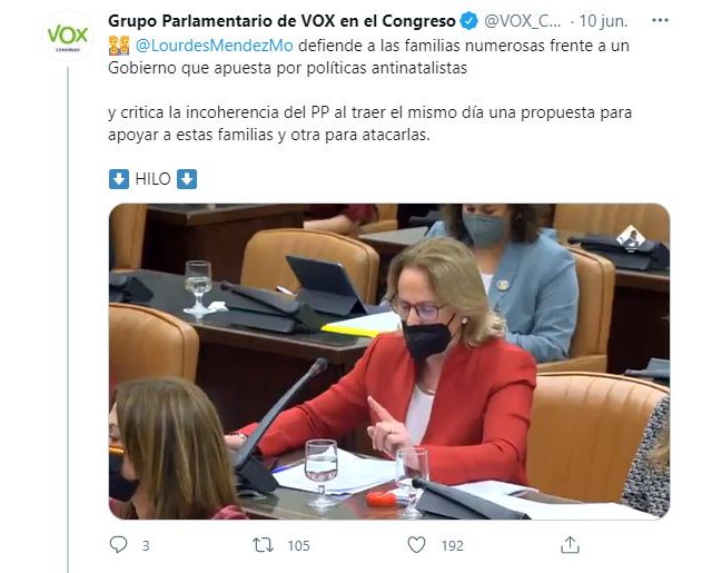 Lourdes Méndez defiende a las familias numerosas “frente a un Gobierno antinatalista” - 1, Foto 1