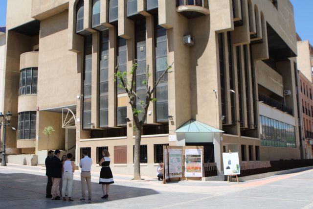 La Comunidad subvenciona el jardín vertical del edificio Cazadores de Yecla para la mejora de su envolvente y la biodiversidad - 1, Foto 1