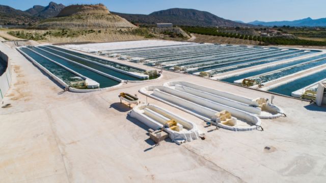 El dominio de la Región de Murcia en soluciones ecológicas para la agricultura con biofertilizantes obtenidos con microalgas se refuerza tras la adquisición de Mundeco por el Grupo Agronova Biotech - 2, Foto 2