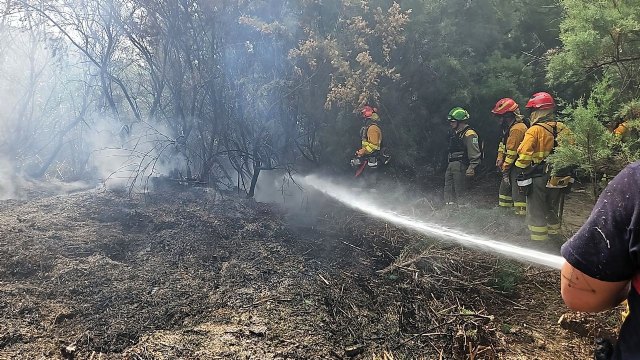 Incendio de vegetación en el cauce del río Mula a su paso por Albudeite - 1, Foto 1