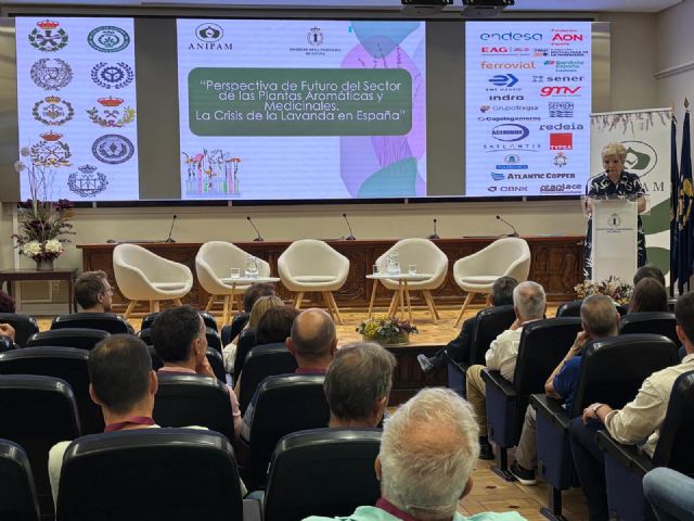 El sector aromáticas reclama más apoyo de las administraciones públicas para evitar la desaparición del cultivo de la lavanda - 2, Foto 2