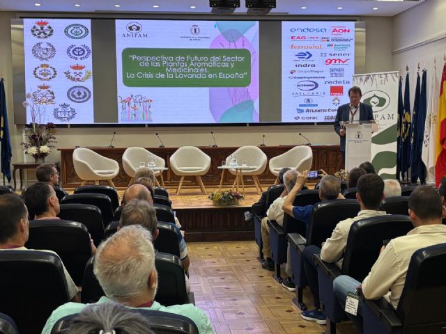 El sector aromáticas reclama más apoyo de las administraciones públicas para evitar la desaparición del cultivo de la lavanda - 3, Foto 3