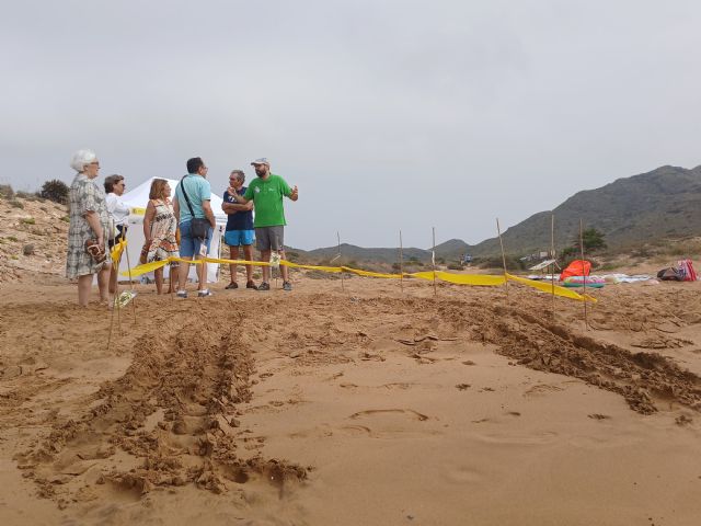 Medio Ambiente propone nuevas experiencias para descubrir la fauna silvestre y proteger las tortugas marinas - 2, Foto 2