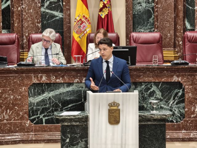 El PSOE denuncia que Gobierno regional provoca desigualdad entre municipios e inseguridad jur�dica para ayuntamientos y polic�as locales al no desarrollar la ley, Foto 2