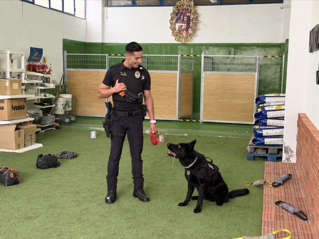 La Policía Local de Jumilla incorpora tres nuevos agentes caninos para reforzar la Unidad Canina - 2, Foto 2