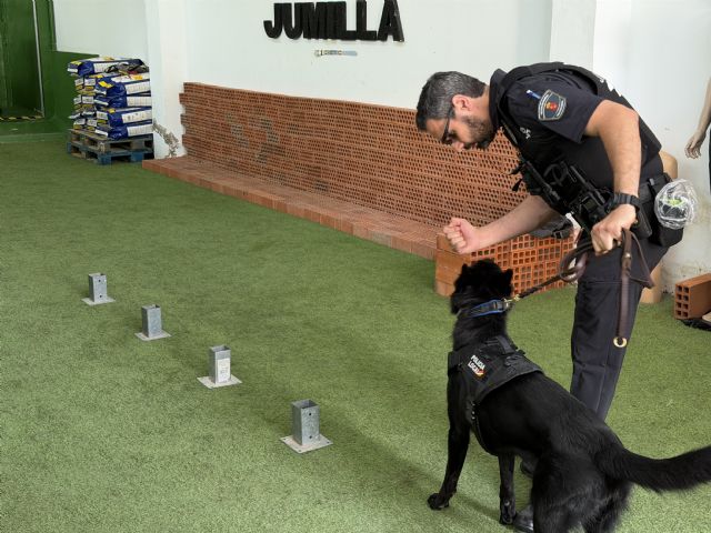 La Policía Local de Jumilla incorpora tres nuevos agentes caninos para reforzar la Unidad Canina - 3, Foto 3