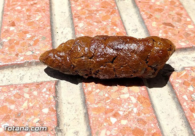 Ponen en marcha un plan de choque de limpieza viaria en el casco urbano, Foto 2