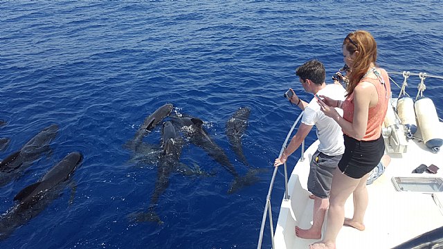 Bautismos de buceo y avistamientos de cetáceos con la concejalía de Juventud de Mazarrón, Foto 2