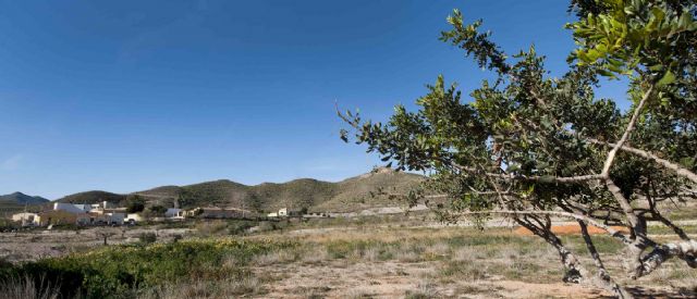 Agricultura logra fondos para arreglar cuatro nuevos caminos rurales - 1, Foto 1