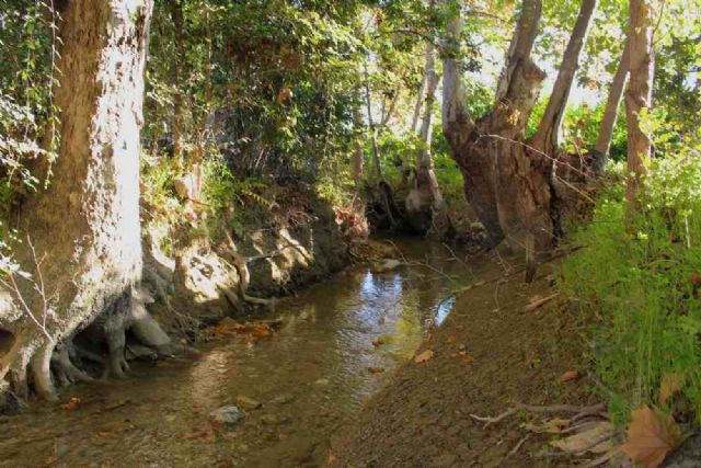 Huermur denuncia la intención de la Junta de Hacendados de hormigonar las acequias mayores de la huerta - 2, Foto 2