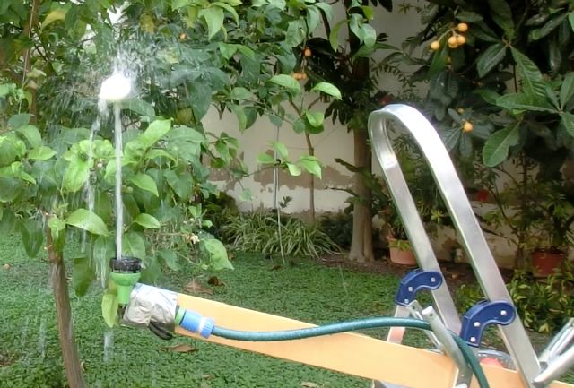 'Física a chorros' de la UMU pasa a la fase final del certamen divulgativo Ciencia en Acción - 1, Foto 1