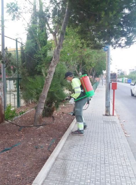El Ayuntamiento de Beniel continúa las labores de fumigación contra todo tipo de plagas - 1, Foto 1