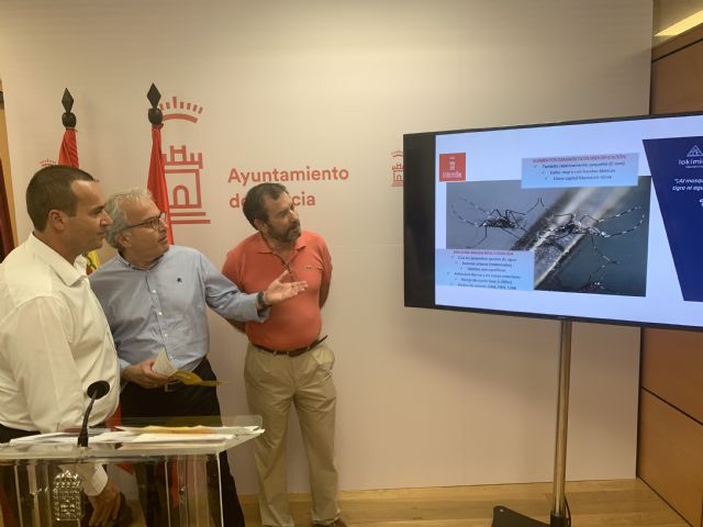 El Ayuntamiento de Murcia acentúa la campaña 'Contra el mosquito tigre luchamos todos' por las altas temperaturas - 2, Foto 2