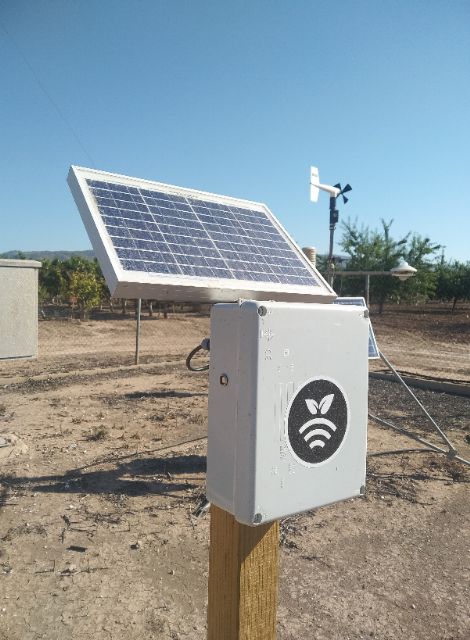 El CIFEA de Jumilla instala sensores de humedad para mejorar la gestión del uso del agua y fertilizantes en sus cultivos experimentales - 1, Foto 1