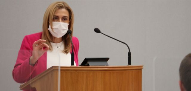 Carmina Fernández acusa al Gobierno regional de inacción en el sellado y descontaminación de las balsas de residuos industriales de Zincsa - 1, Foto 1