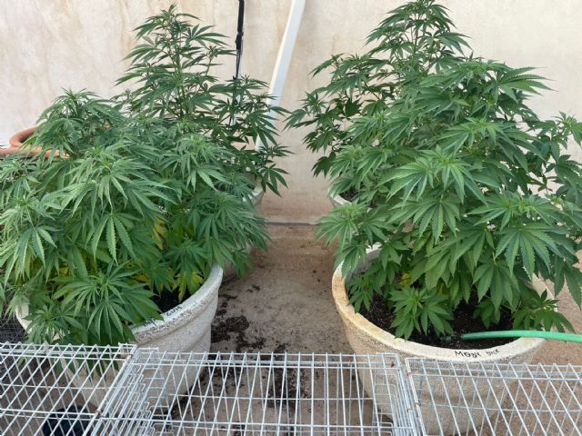 La Policía Local detiene a tres personas por presuntos delitos de robo por escalo, robo de vehículo a motor y delito contra la seguridad vial - 1, Foto 1