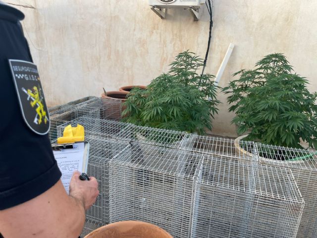 La Policía Local detiene a tres personas por presuntos delitos de robo por escalo, robo de vehículo a motor y delito contra la seguridad vial - 2, Foto 2