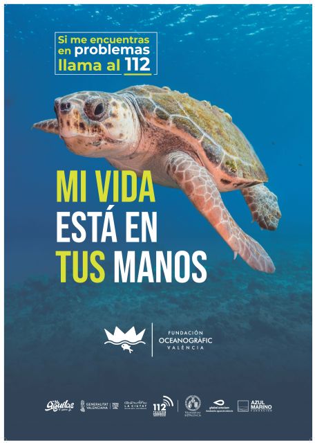 Águilas participa un año más en la campaña Tortugas del Mediterráneo - 1, Foto 1