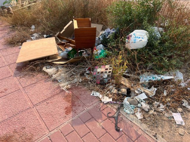 El Grupo Socialista exige un plan urgente de refuerzo del servicio de limpieza y recogida de residuos ante la dejadez del PP en barrios y pedanías - 2, Foto 2