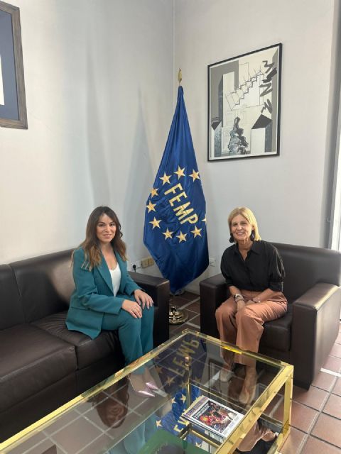 La alcaldesa de Murcia se incorpora a la Junta de Gobierno de la FEMP - 3, Foto 3