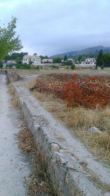 El PP denuncia el estado de sequedad y abandono del Camino del Huerto y Las Fuentes del Marqués - 1, Foto 1