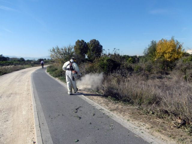 El Ayuntamiento lleva a cabo tareas de limpieza y desbroce en el carril bici entre el Raal y Contraparada - 4, Foto 4