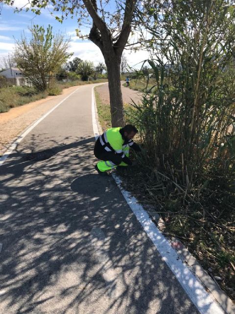 El Ayuntamiento lleva a cabo tareas de limpieza y desbroce en el carril bici entre el Raal y Contraparada - 5, Foto 5