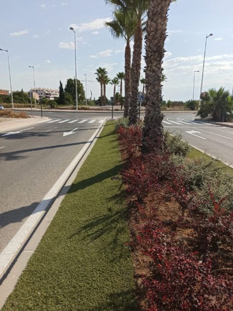 El Ayuntamiento aumenta la biodiversidad urbana y mejora la calidad ambiental gracias al Plan de Mejoras en Medianas y Rotondas - 2, Foto 2