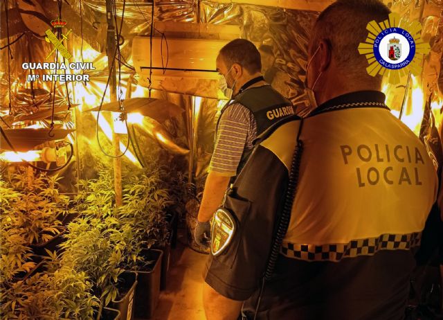 Desmantelado un activo punto de producción y venta de drogas, en Calasparra - 1, Foto 1