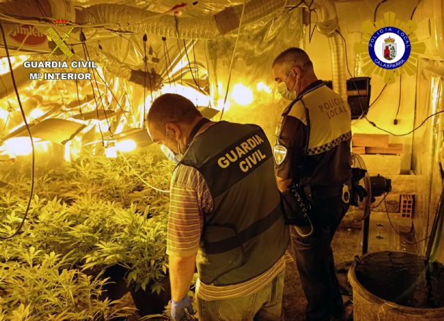 Desmantelado un activo punto de producción y venta de drogas, en Calasparra - 2, Foto 2