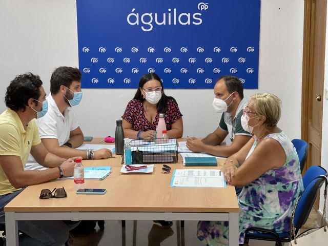 El PGMOU sale adelante en un pleno extraordinario tras muchos años de espera y en el tiempo de descuento - 1, Foto 1