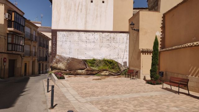 El Ayuntamiento de Lorca inicia la inmediata recolocación de la ornamentación del jardín vertical situado en la Plaza de la Hermandad de La Curia - 1, Foto 1