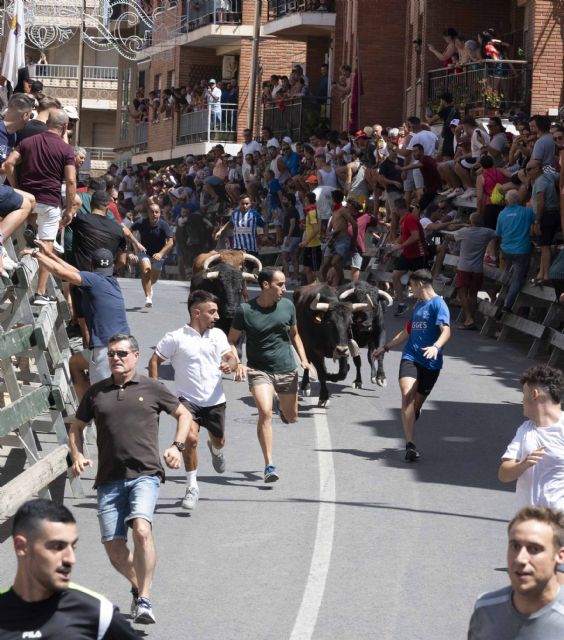 Fotos: Frutos Molina, Foto 1