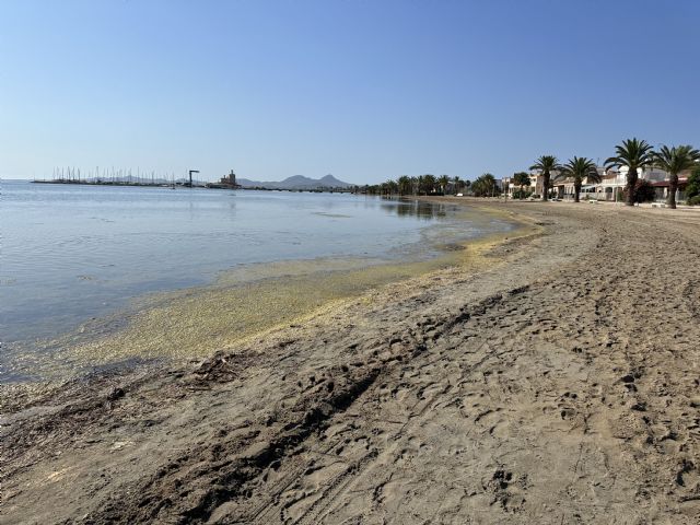 Giménez Gallo (MC) anima a abrazar el Mar Menor en defensa propia - 2, Foto 2