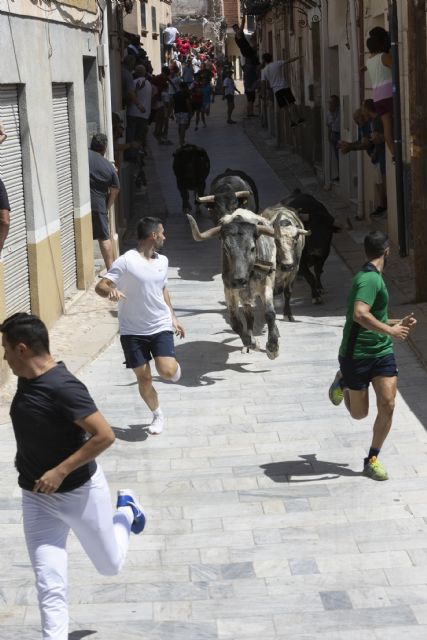 El primer encierro de las Fiestas Patronales de Blanca 2023 recupera su recorrido tradicional por el casco antiguo tras cuatro de ausencia - 2, Foto 2
