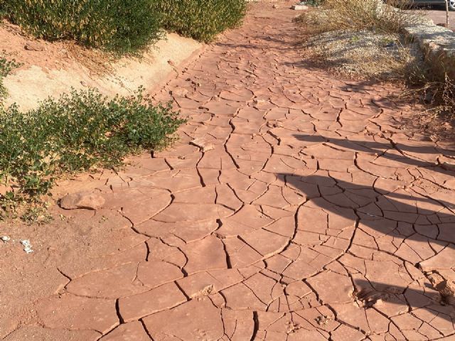El PSOE Lorca denuncia el estado de abandono y deterioro de la 'Ruta de las ermitas' junto al barrio de San Pedro - 1, Foto 1