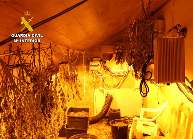 Una denuncia de maltrato animal destapa un secadero de marihuana en Murcia - 1, Foto 1