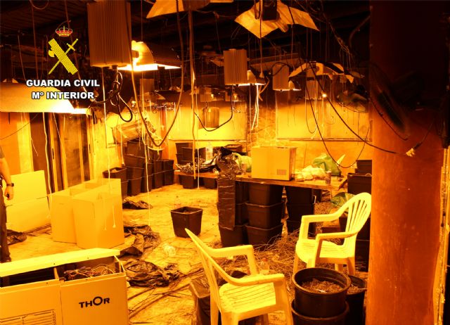 Una denuncia de maltrato animal destapa un secadero de marihuana en Murcia - 2, Foto 2