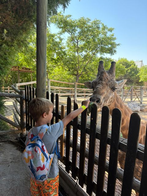Más de 60 colectivos, Escuelas de Verano y deportivas escogen Terra Natura durante julio para sus propuestas de ocio y conciliación - 5, Foto 5