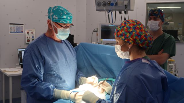 Prótesis de pene, la intervención con el 99% de satisfacción de los pacientes - 2, Foto 2