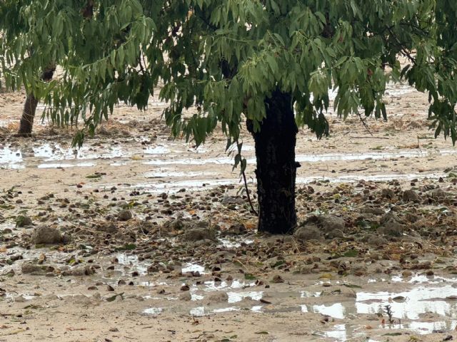 La tormenta registrada durante la tarde del 10 de agosto recorri� el norte y parte del centro de la Regi�n de Murcia, Foto 2
